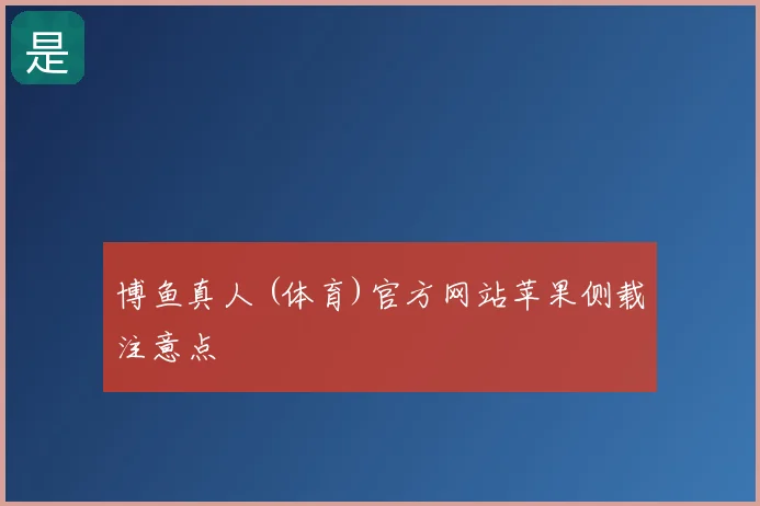 博鱼真人 (体育)官方网站苹果侧载注意点